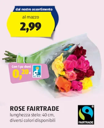 ALDI ROSE FAIRTRADE offerta