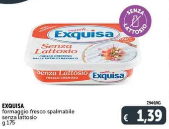 Deco Supermercati EXQUISA formaggio fresco spalmabile senza lattosio g 175 offerta