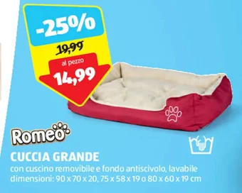 ALDI Romeo CUCCIA GRANDE offerta