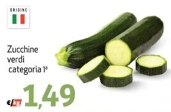 Zucchine verdi categoria 1ª