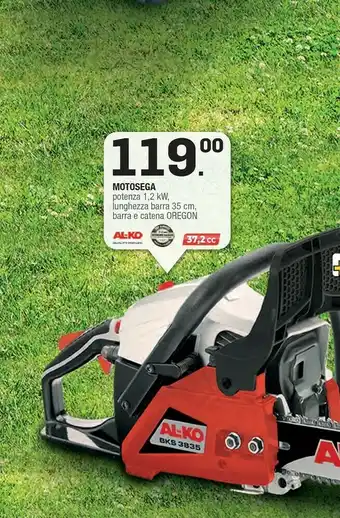 Brico OK Oregon Attrezzi da giardino offerta