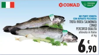 Conad TROTA IRIDEA SALMONATA CONAD PERCORSO QUALITÀ allevata in Italia al kg offerta