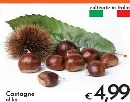 Castagne
