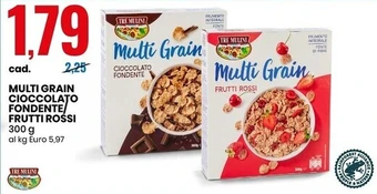 Eurospin Tre mulini multi grain cioccolato fondente/frutti rossi offerta