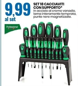 Eurospin Professional keiros set 18 cacciaviti con supporto offerta
