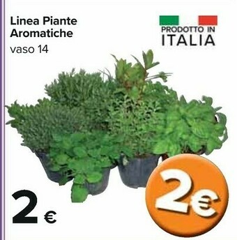 Carrefour Piante offerta