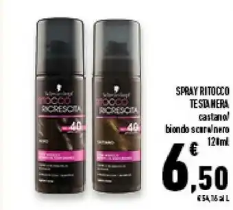 Conad Superstore Testanera Spray Ritocco offerta