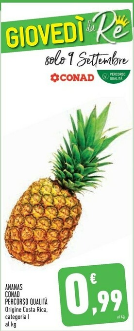 Conad Conad Ananas offerta