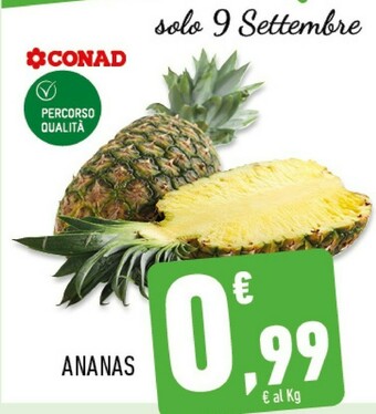 Conad Superstore Ananas offerta