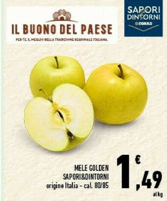 Conad Conad Sapori Dintorni Mele Golden offerta
