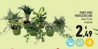 Conad Piante Verdi Purificatrici Mix offerta