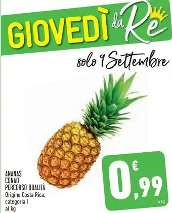 Conad Conad Ananas Percorsa Qualita offerta