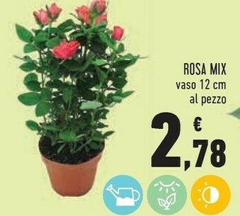 Conad Rosa Mix offerta