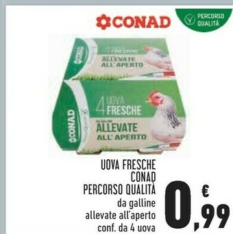Conad Superstore Uova offerta