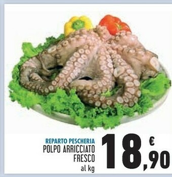 Conad Superstore Polpo Arricciato Fresco offerta