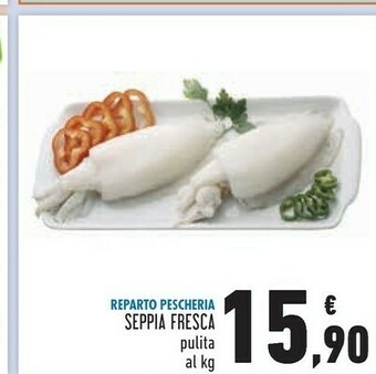 Conad Superstore Seppia Fresca offerta