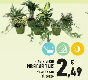 Conad Superstore Piante Verdi Purificatrici Mix Vaso 12 Cm offerta