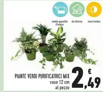 Piante Verdi Purificatrici Mix