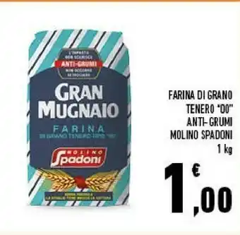 Conad Molino spadoni Farina offerta