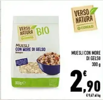Muesli Con More Di Gelso