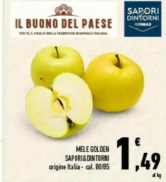 Conad Conad Mele Golden Sapori & Dintorni offerta