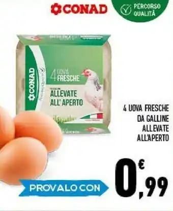 4 Uova Fresche Da Galline Allevate All'aperto