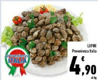 Conad Lupini offerta