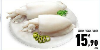 Conad Seppia Fresca Pulita offerta