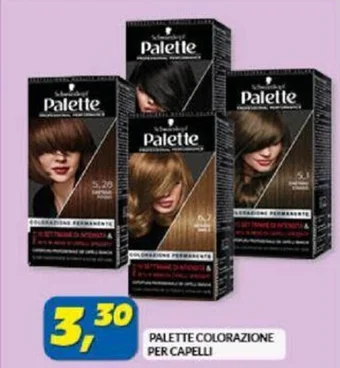 Risparmio Casa PALETTE COLORAZIONE PER CAPELLI offerta