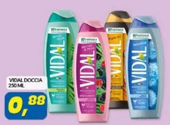 Risparmio Casa VIDAL DOCCIA 250 ML offerta