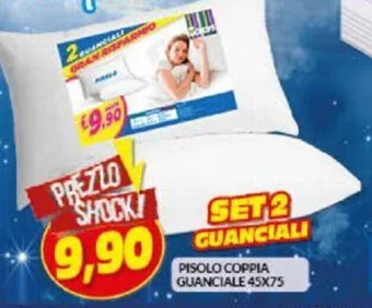 Risparmio Casa PISOLO COPPIA GUANCIALE 45X75 offerta