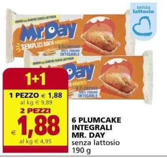 6 PLUMCAKE INTEGRALI MR. DAY senza lattosio 190 g
