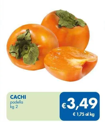 MD Discount CACHI padella kg 2 offerta