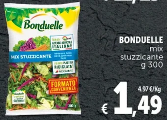 Deco Supermercati BONDUELLE mix stuzzicante g 300 offerta