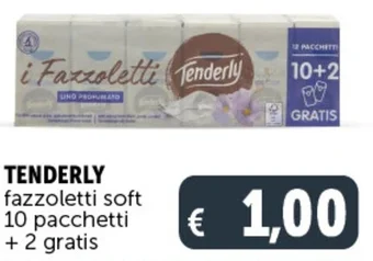Deco Supermercati TENDERLY fazzoletti soft 10 pacchetti + 2 gratis offerta