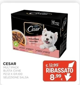 Arcaplanet Cesar busta cane multipack gr.100 x pz.12 selezione salsa offerta