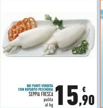 Conad Seppia Fresca offerta