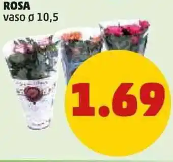 PENNY ROSA vaso ø 10,5 offerta