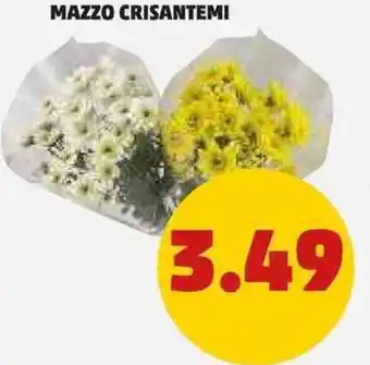 PENNY MAZZO CRISANTEMI offerta