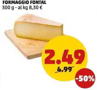 PENNY FORMAGGIO FONTAL 300 g offerta