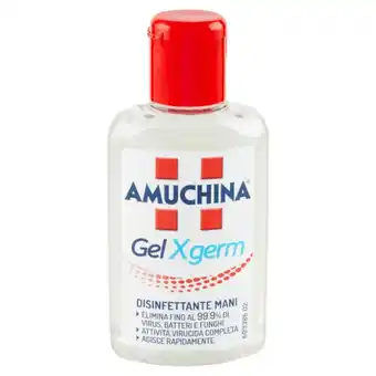 Iperal Disinfettante mani gel x germ amuchina offerta