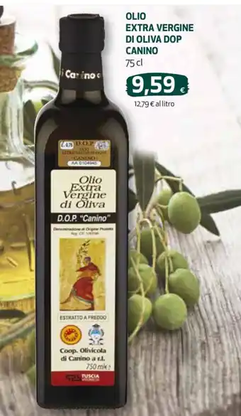 Coop OLIO EXTRA VERGINE DI OLIVA DOP CANINO 75 cl offerta