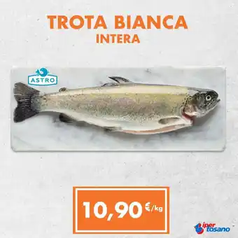 Iper Tosano TROTA BIANCA INTERA offerta