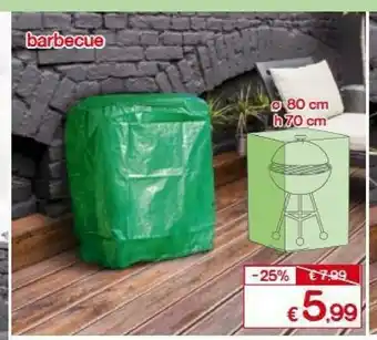 Satur Barbecue offerta