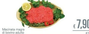 Unes Macinata Magra Di Bovino Adulto offerta