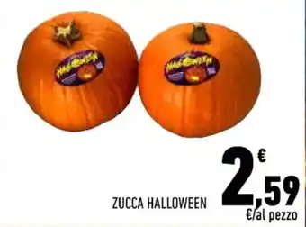 Conad City ZUCCA HALLOWEEN offerta
