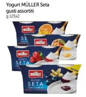 Galassia Yogurt MÜLLER Seta gusti assortiti g 125x2 offerta