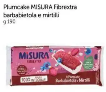 Galassia Plumcake MISURA Fibrextra barbabietola e mirtilli g 190 offerta