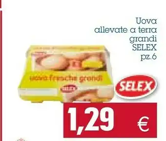 Emi Supermercati Selex Uova offerta