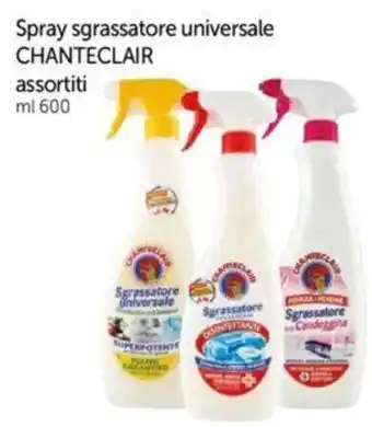 Galassia Spray sgrassatore universale CHANTECLAIR assortiti ml 600 offerta